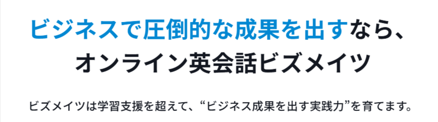 ビズメイツの言葉